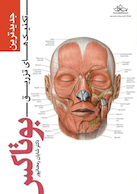 جدیدترین تکنیک های تزریق بوتاکس